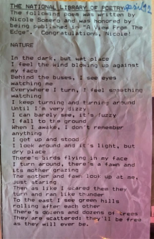 Nicole Poem
